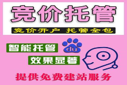 百度竞价代理的投放策略及某行业成功案例